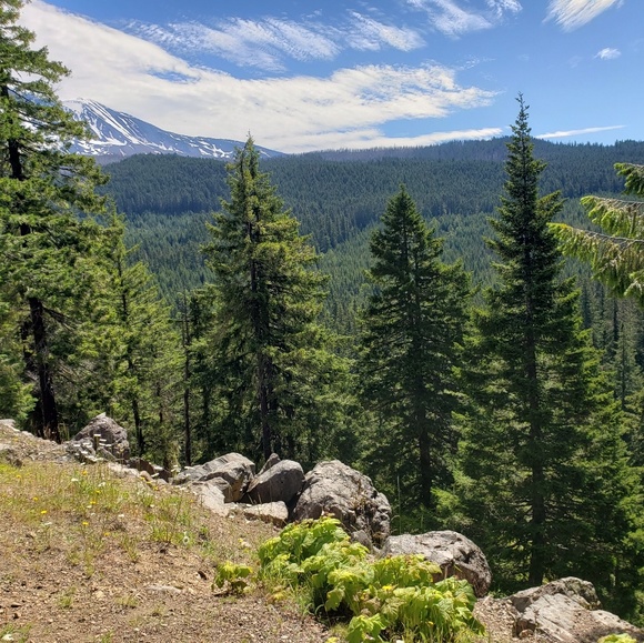 Meet your Posher, Karin - Picture 2 of 6